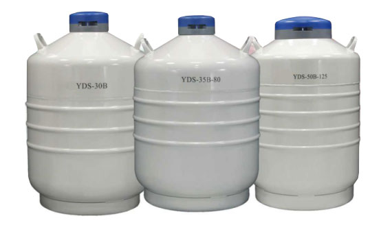 运输储存液氮罐 YDS系列