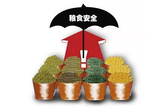 粮食安全检测解决方案