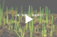 【视频】聚力十年，创新未来！世界杯2022淘汰赛分组
十周年快乐！